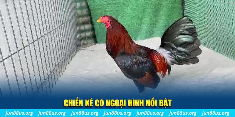 555win qq88 bắn cá