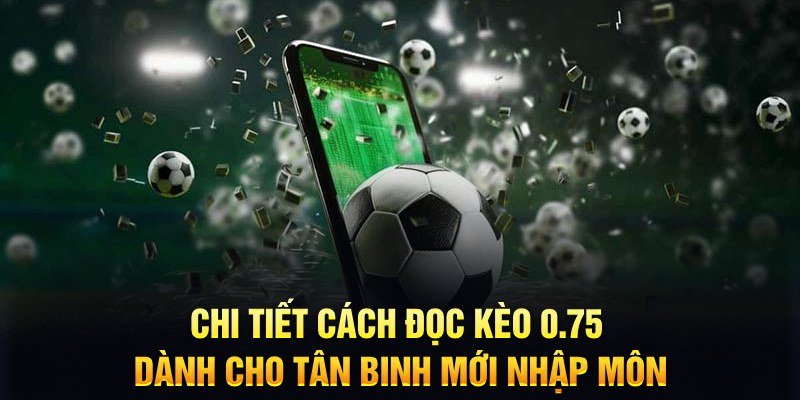 555win Xì tố