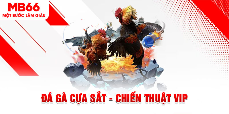 555win slot out là gì