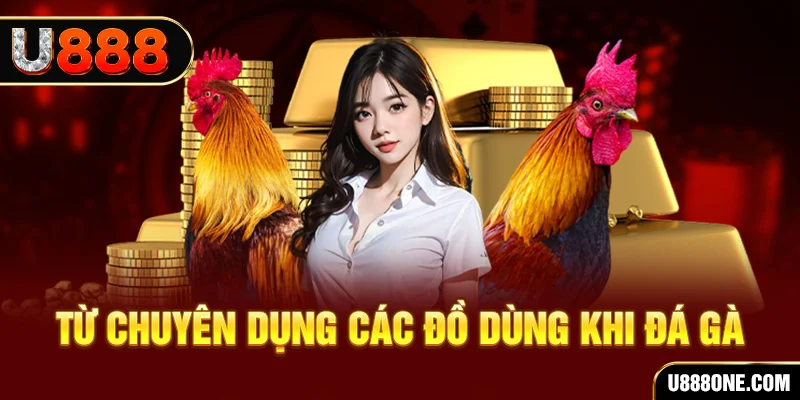 555win đăng nhập poker trực tiếp