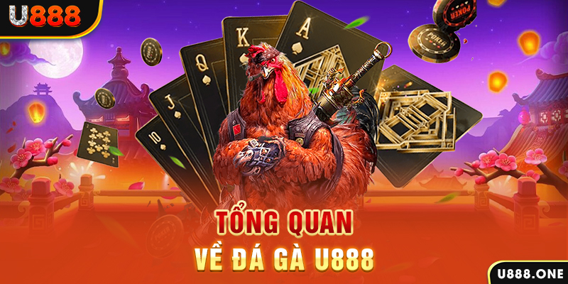 555win xổ số vietlott