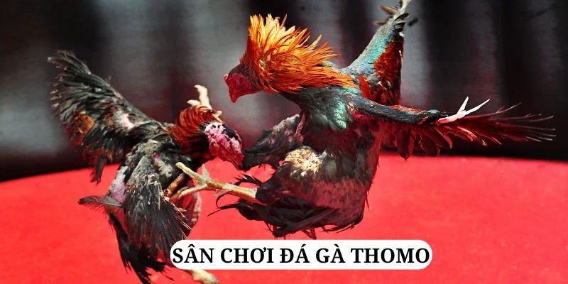 555win quay nổ hũ là gì