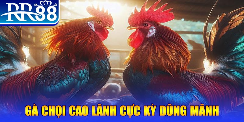 555win đăng nhập poker live